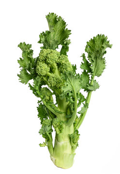 Fresh  broccoli rabe