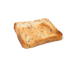square slices of bread made from white wheat flour toasted in toaster, top view