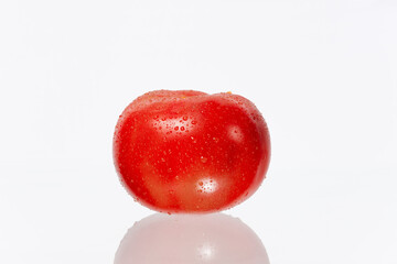Tomate fresco, fondo blanco.