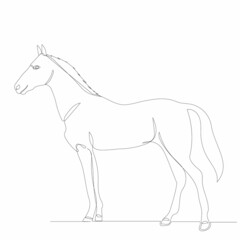 horse drawing by one continuous line, sketch