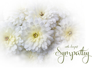 White floral sympathy greeting card. White chrysanthemum with condolence message. Horizontal...