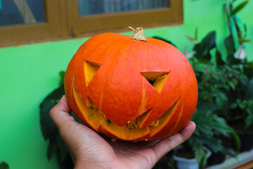 Halloween pumpkin on hand with natural blurred background in the backyard. Orange pumpkin stock...