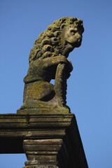 Fototapeta na wymiar A statue of a lion on the weighing house in Deventer, the Netherlands