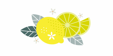Lemon fruits. Flat illustration. Whole and cut fruits, leaves and flowers. Illustration can use for jam, marmalade fruit drink, fruit filler, for label, packaging design, adv products and posters.