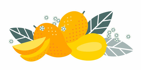 Mango tropical exotic fruit. Flat illustration. Whole and half cut with lobules, leaves and flowers. Illustration can use for jam, marmalade fruit drink,  for label, packaging design.