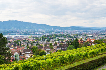 Blick über Stadt Zürich mit Zürichsee in der Schweiz