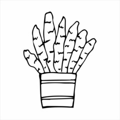 Hand drawn indoor plant in a pot, doodle design. Home plants. Illustration for print, web, mobile and infographics.