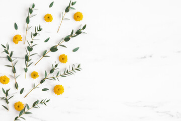 Flowers composition. Yellow flowers and eucalyptus leaves on marble background. Flat lay, top view