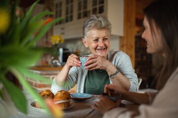 Happy senior mother having tea with adult daughter indoors at home, talking.