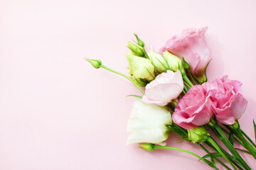 Beautiful pink eustoma flowers (lisianthus) in full bloom with buds leaves. Bouquet of flowers on pink  background. Copy space