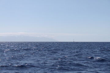 yacht in the sea