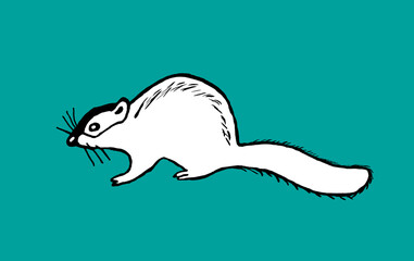 squirrel, rodent running through the trees, children's coloring pages