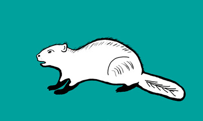 animation of a beaver for children's coloring, an animal with a long tail