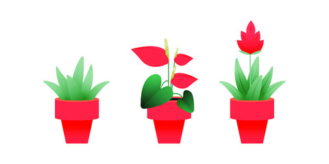 Set of Growing Plant in Pot. Modern Flat Vector Illustration. Gardening Concept. Social Media Template.