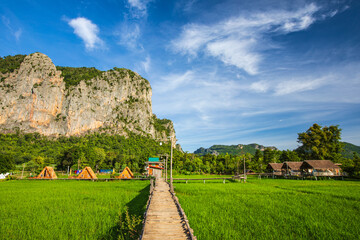 Fototapeta na wymiar The village of farmers in Khon Kaen province,Thailand.