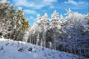 Wędrówka górska w zimę
