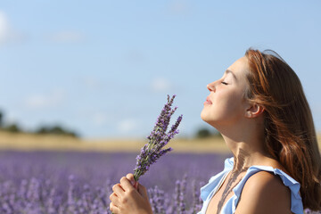Woman smelling lavender flowers bouquet in a field