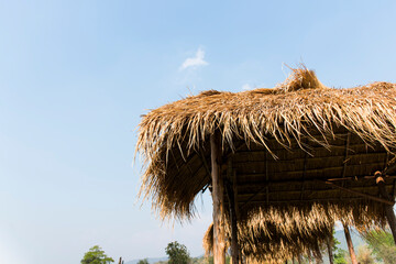 Fototapeta na wymiar A wooden hut with a roof made of cane grass.