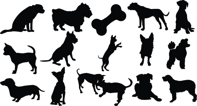 Dog silhouette Set 01 walking and standing . Shepherd, beagle, great dane, dachshund, poodle, pit bull. . Vector black flat icon isolated on white background.
