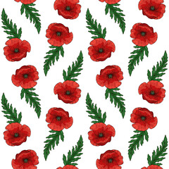 Seamless pattern with red poppy flowers. Papaver. Green stems and leaves. Hand drawn vector illustration. On white background.