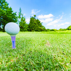 ゴルフ　ティーショット　【 スポーツ の 秋 の イメージ 】
