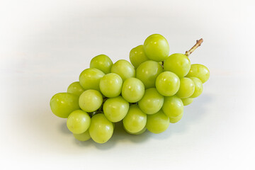 シャインマスカット