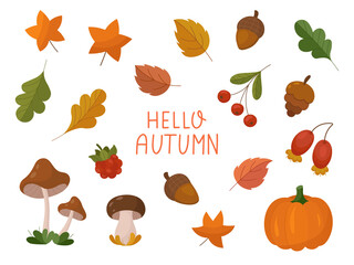 Autumn Leaves and fall elements set. Collection of fall leaves, acorns, vegetables, berries and mushrooms. Autumn vector clipart. 

