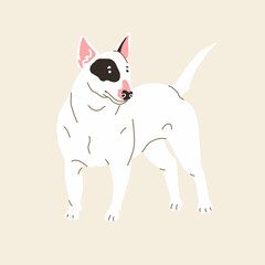 Bullterrier dog. Vector illustration. Flat style