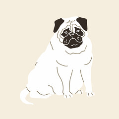 Pug dog. Vector illustration. Flat style.