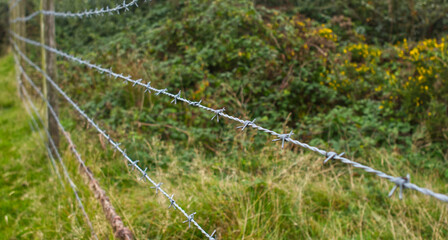 Barbed wire fencing on the moorland