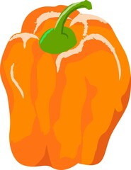 新鮮な野菜の手描き風イラスト