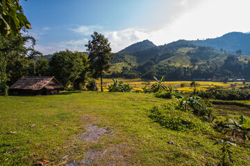 nature, way of life of villagers