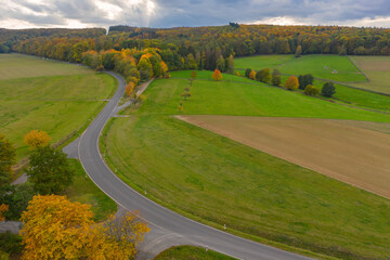View from above of a road through a wooded area m Taunus / Germany 