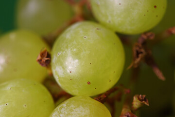 close-up organic and fresh green grapes 