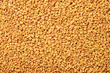food background of raw fenugreek seeds, top view