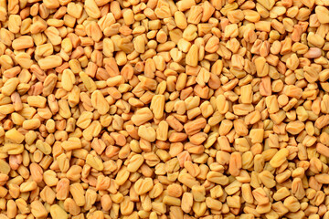 food background of raw fenugreek seeds, top view