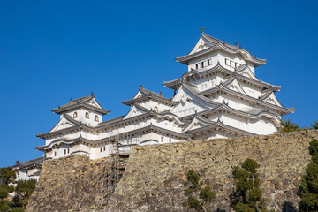 Fototapeta premium 姫路城