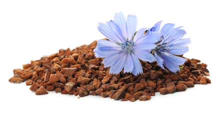 Pile of chicory granules and flowers on white background