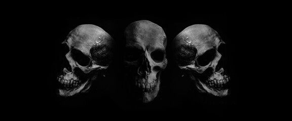 Scary grunge skull wallpaper. Mystical background with free space for text. 
