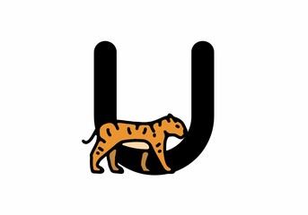 Fototapeta premium Line art illustration of tiger with U initial letter