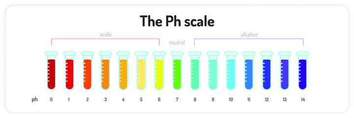 The Ph scale infographic. Isolated vector illustration on white background. 