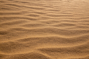 Beautiful desert landscape with dunes. Walk on a sunny day on the Oleshkiv sands.