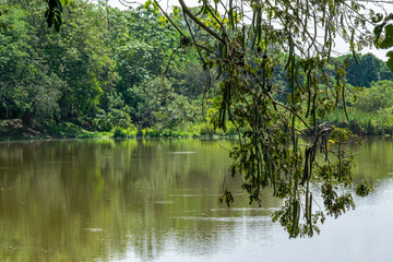 Natural wetland landscape with a lagoon and abundant vegetation.