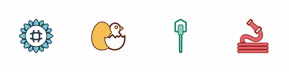 Set Sunflower, Little chick in cracked egg, Shovel and Garden hose icon. Vector