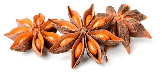 star anise fruits isolated on the white background