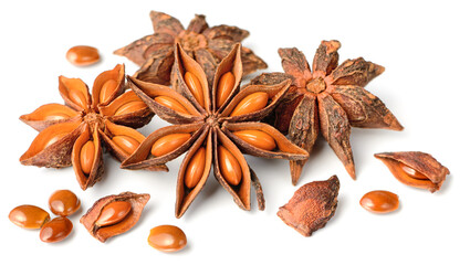 star anise fruits isolated on the white background