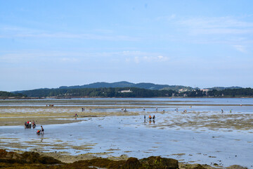 Mariscadoras recogiendo la preciada almeja en Cambados
