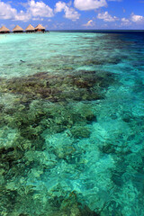 tropical island in the ocean