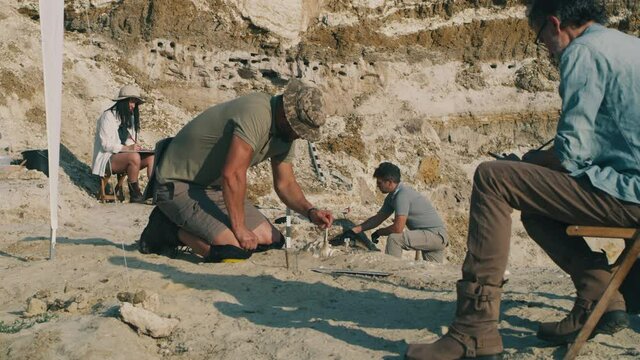 Team of archaeologists excavating fossils during expedition dig mission