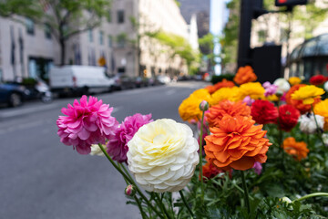 Colorful Flowers along a Street in Midtown Manhattan during Spring in New York City